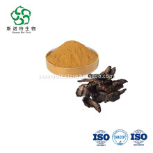 ISO Rehmannia Glutinosa Extract Powder